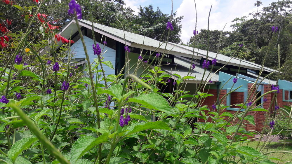 Hotel La Selva Biological Station à Sarapiquí Extérieur photo