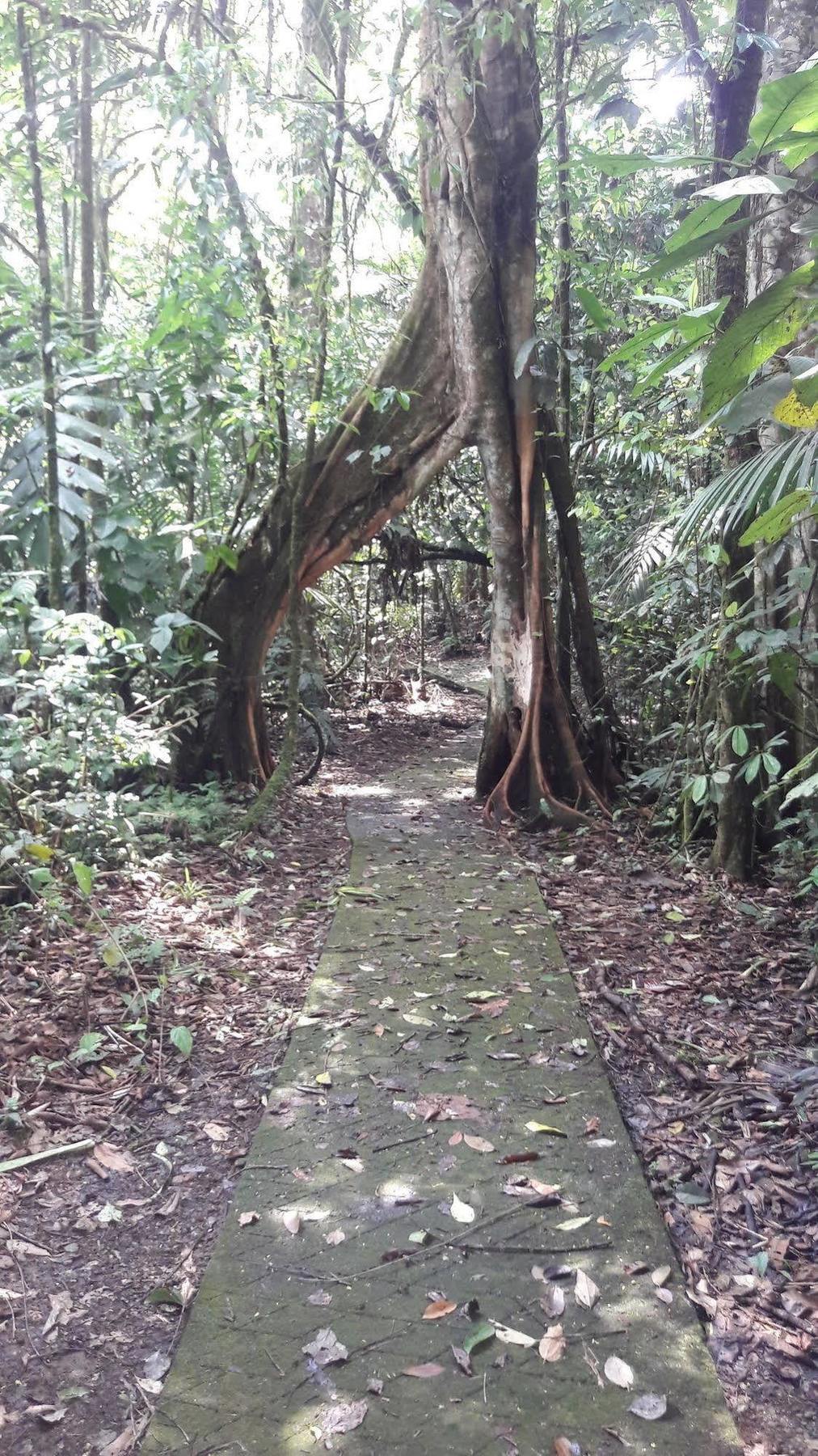 Hotel La Selva Biological Station à Sarapiquí Extérieur photo