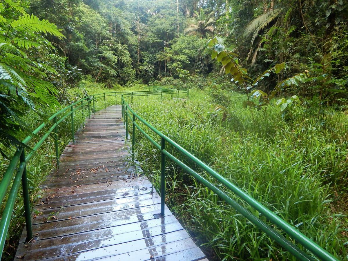 Hotel La Selva Biological Station à Sarapiquí Extérieur photo