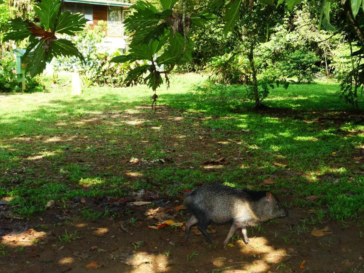 Hotel La Selva Biological Station à Sarapiquí Extérieur photo