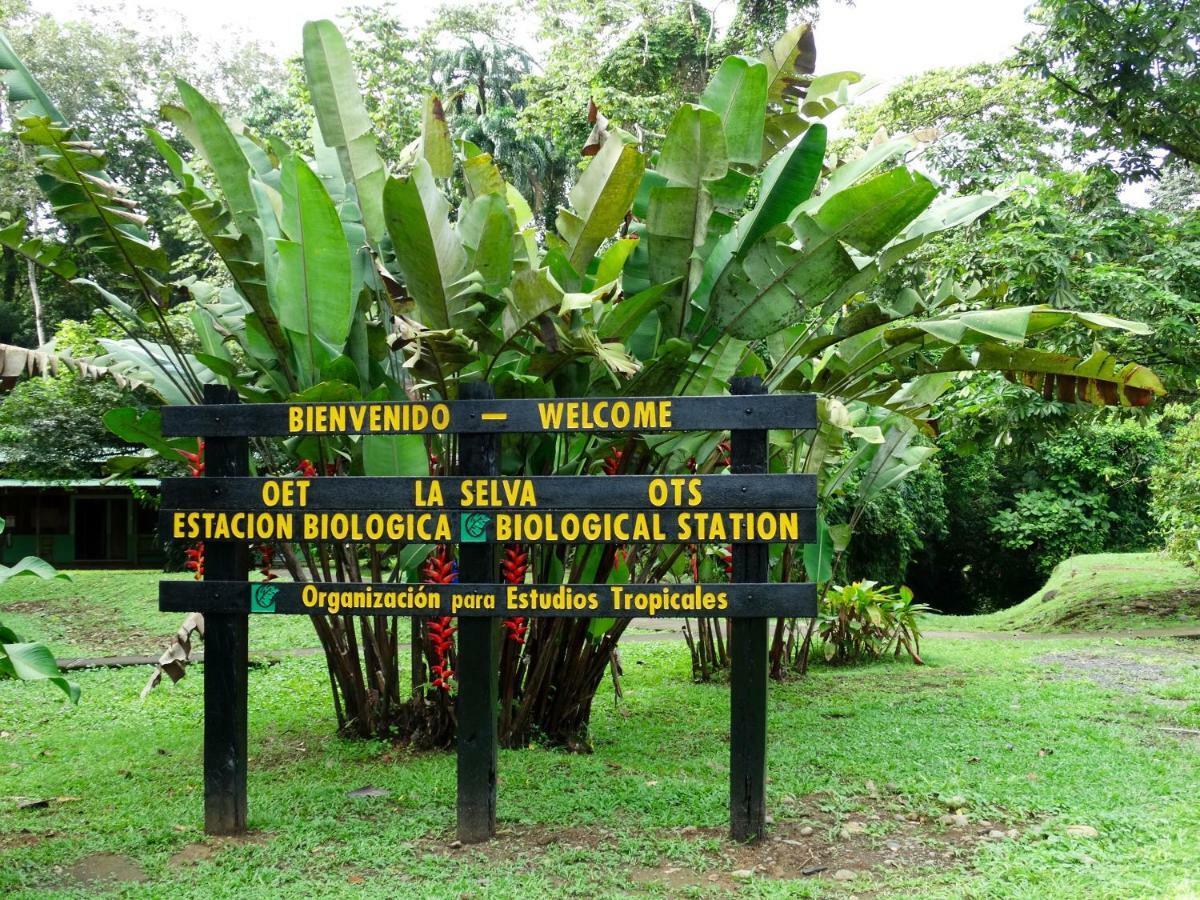 Hotel La Selva Biological Station à Sarapiquí Extérieur photo